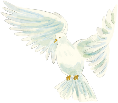 Watercolor Dove Illustration